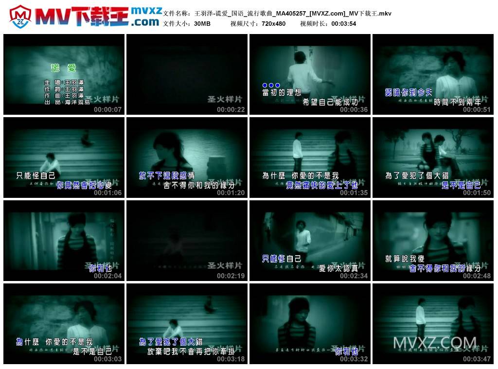 王羽泽-谎爱_国语_流行歌曲_MA405257